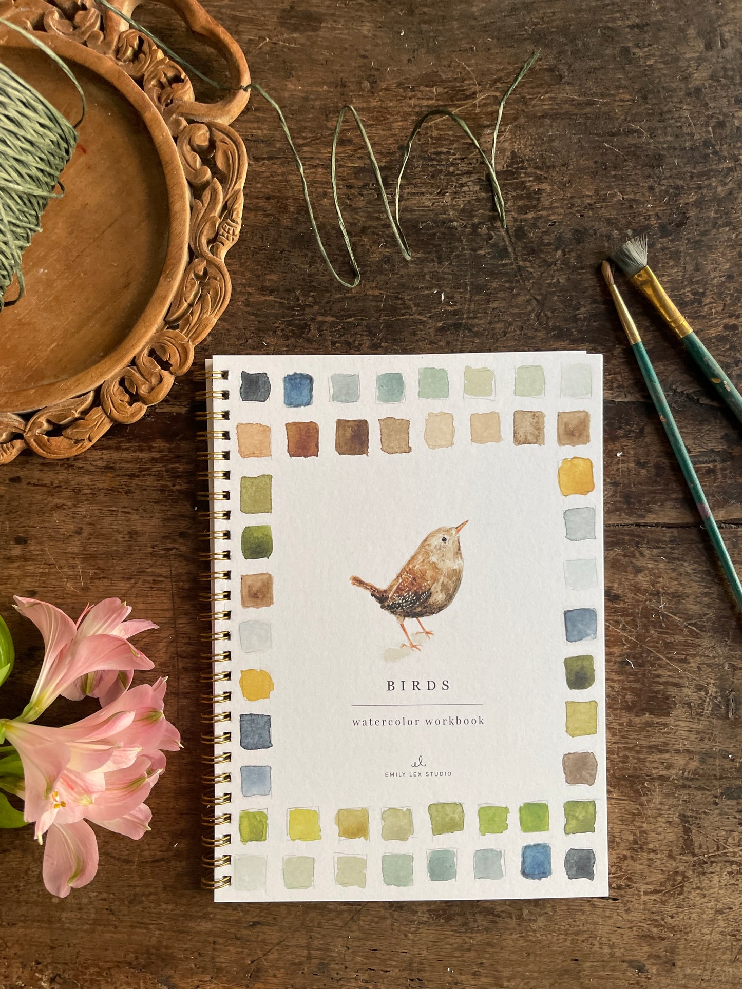 DIY Birds Watercolor Workbook by Emily Lex