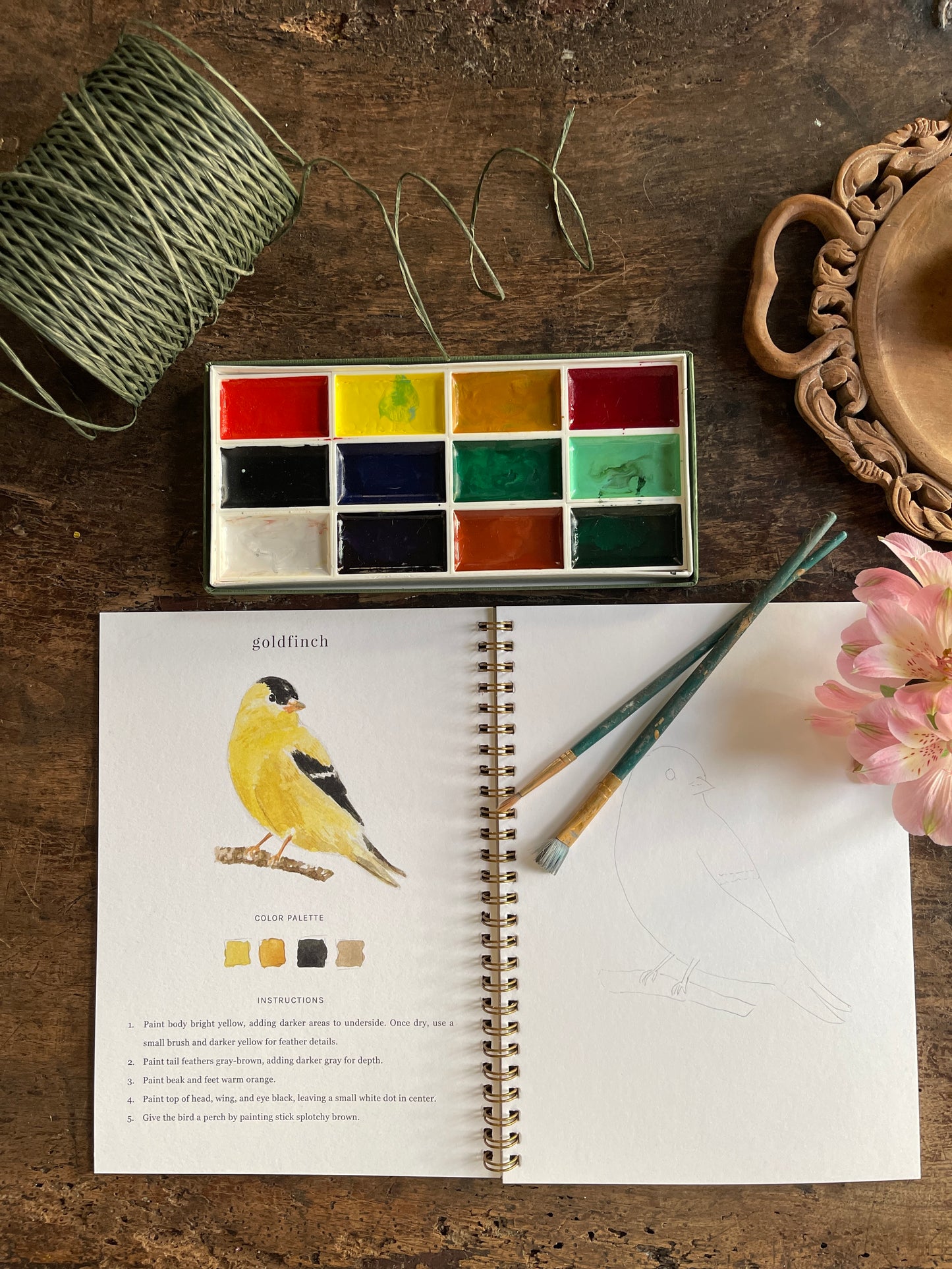 DIY Birds Watercolor Workbook by Emily Lex