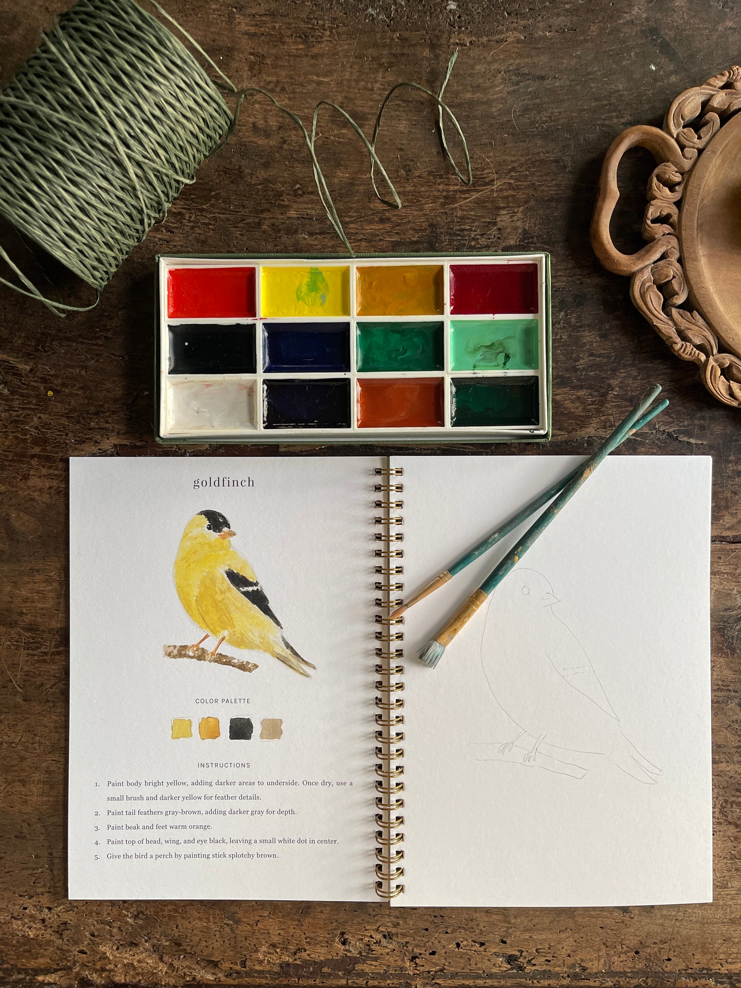DIY Birds Watercolor Workbook by Emily Lex