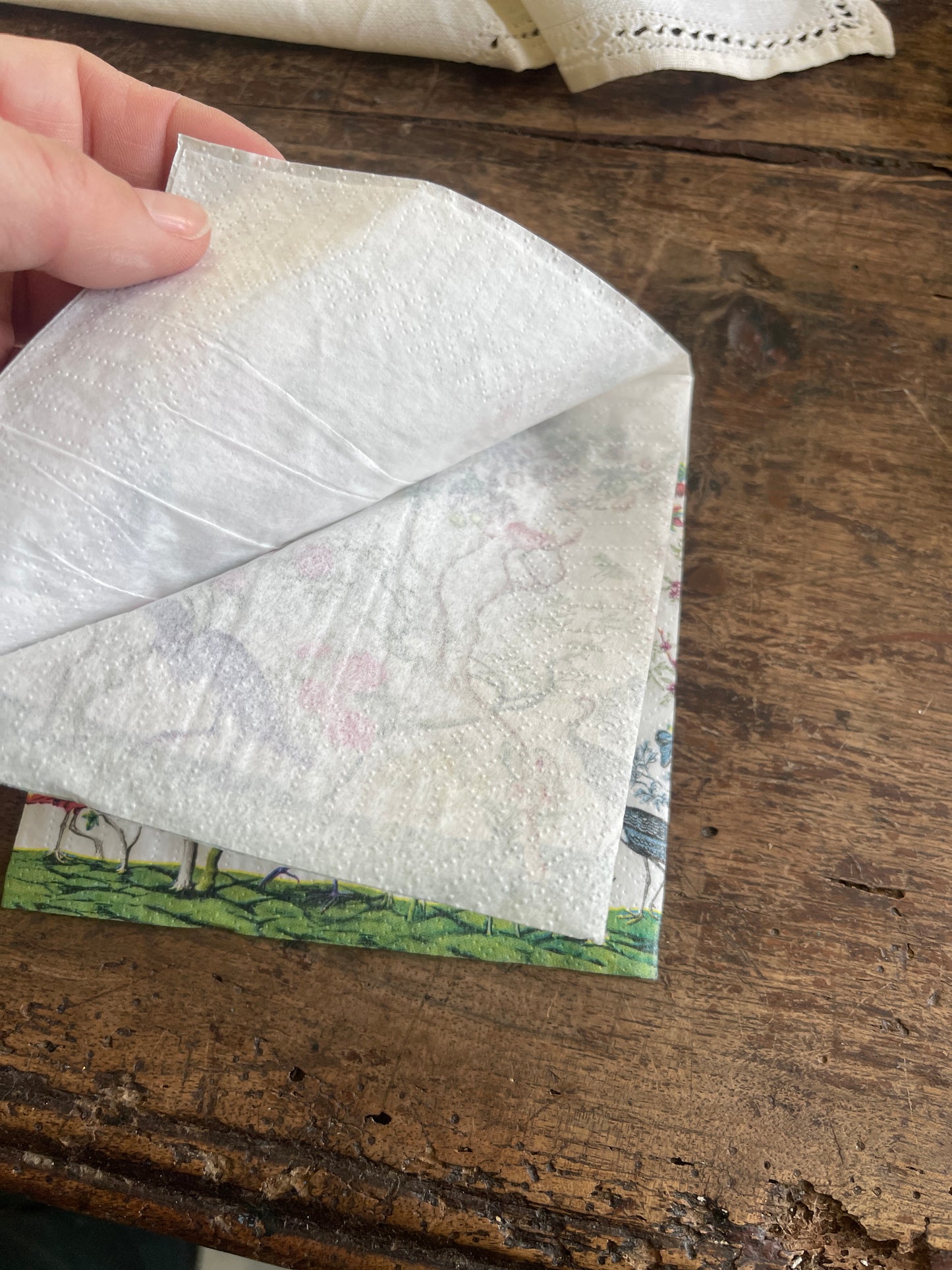 Exotic Birds and Fauna Chinoiserie Paper Cocktail Napkin