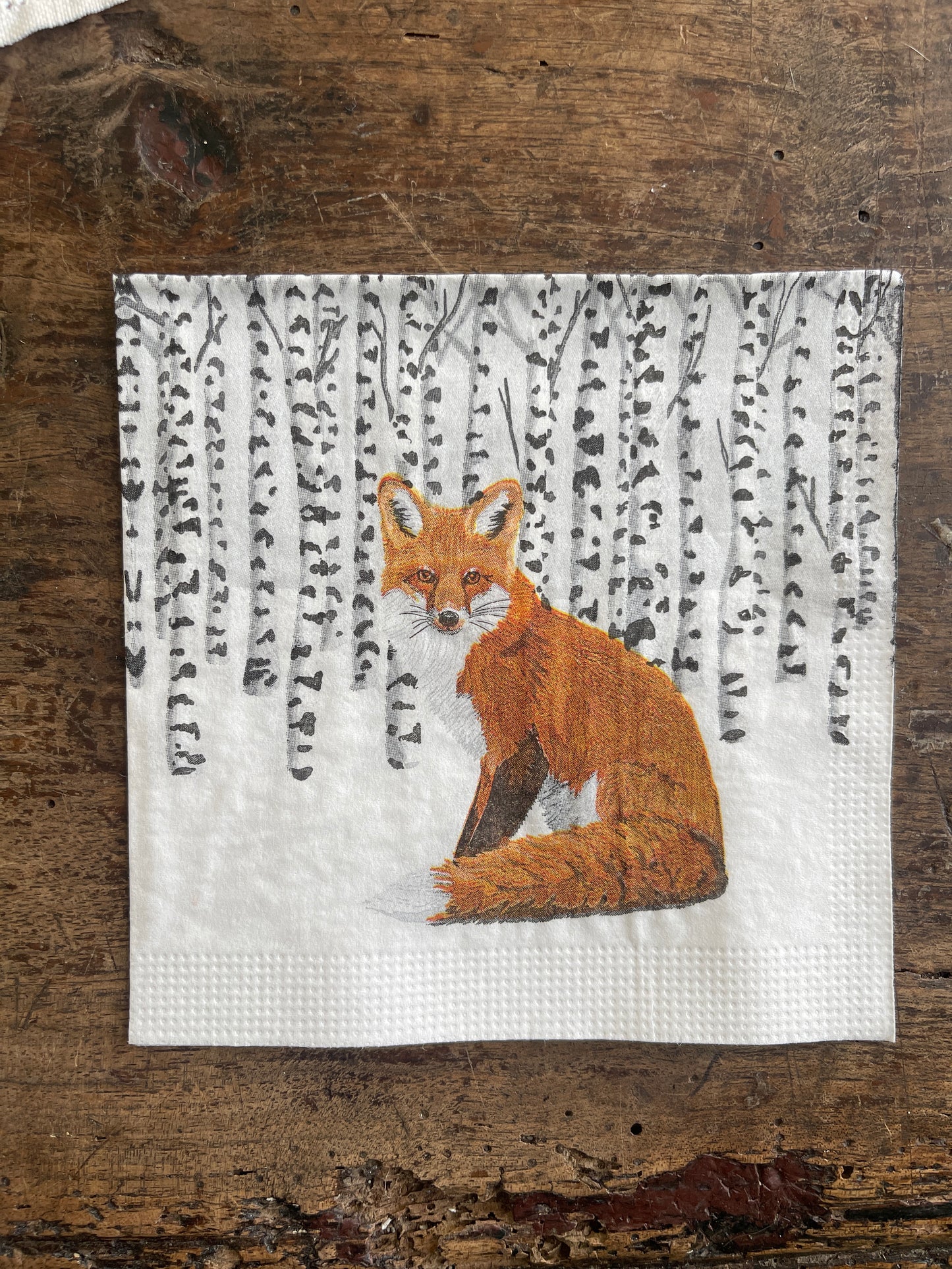 Fox in Winter Aspen Forest Paper Beverage Napkin