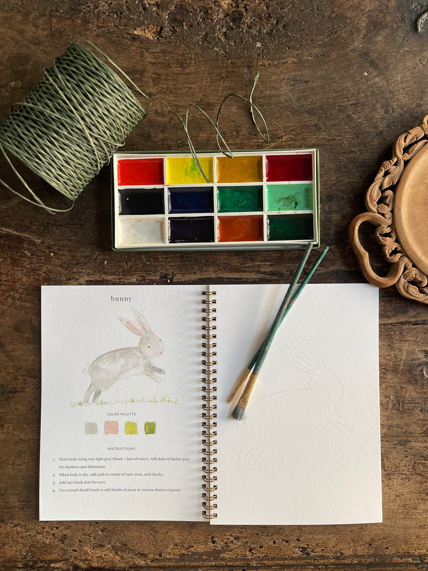 DIY Animals Watercolor Workbook by Emily Lex