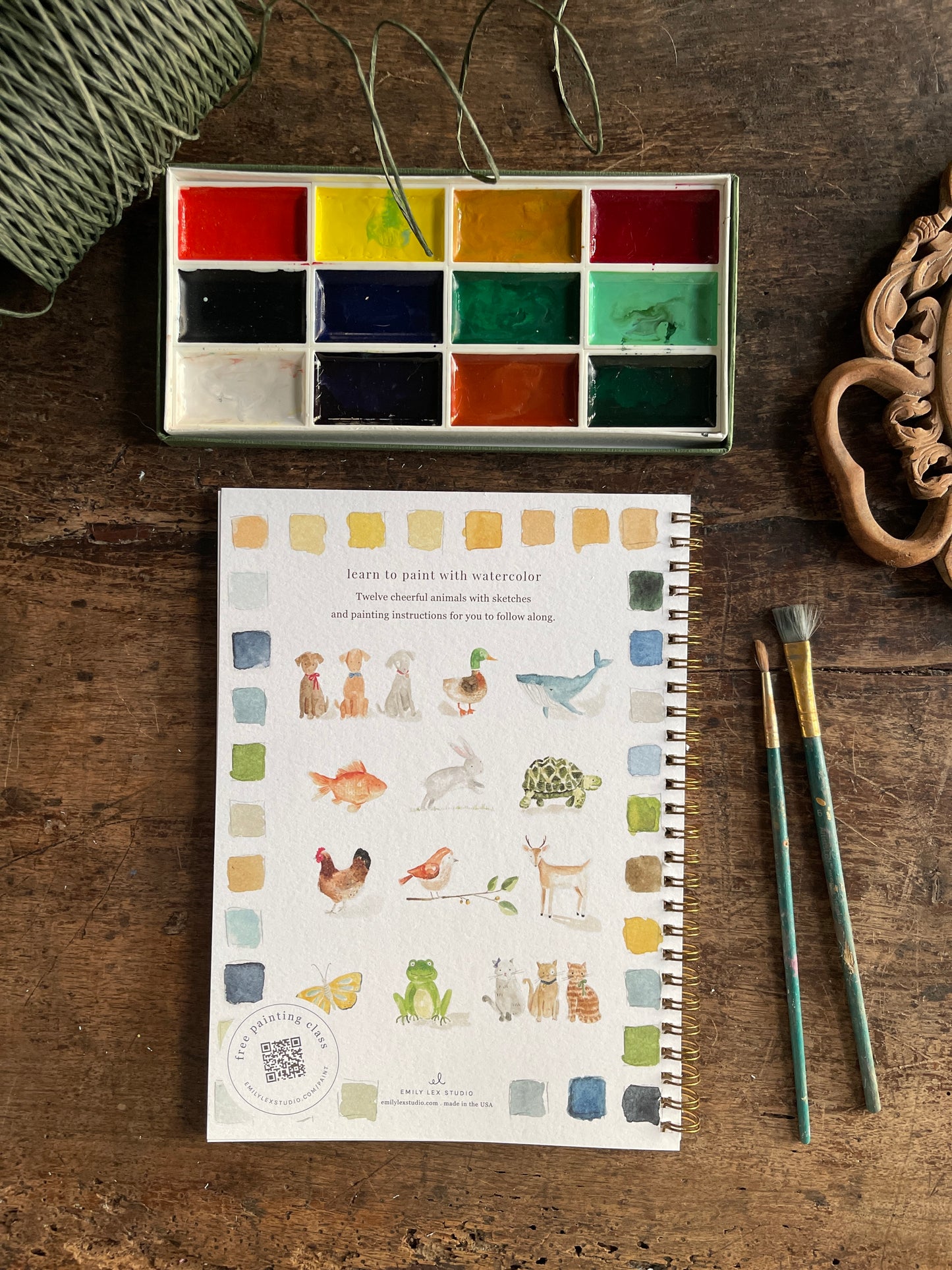 DIY Animals Watercolor Workbook by Emily Lex