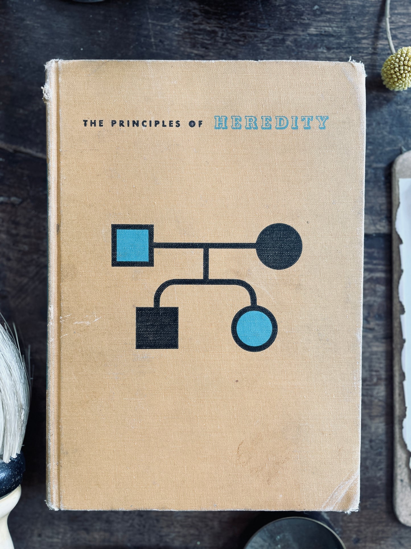 1957 The Principles of Heredity