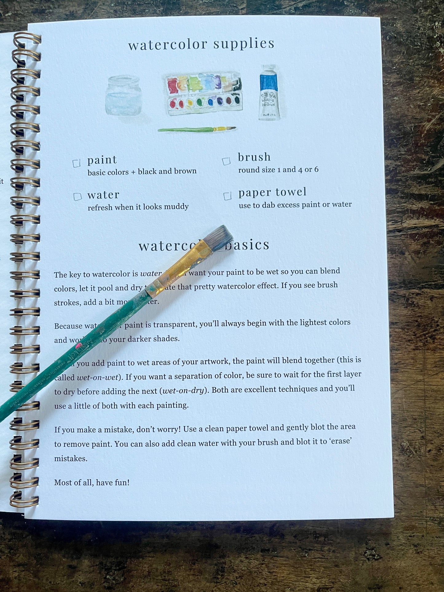 DIY Christmas Watercolor Work Book by Emily Lex