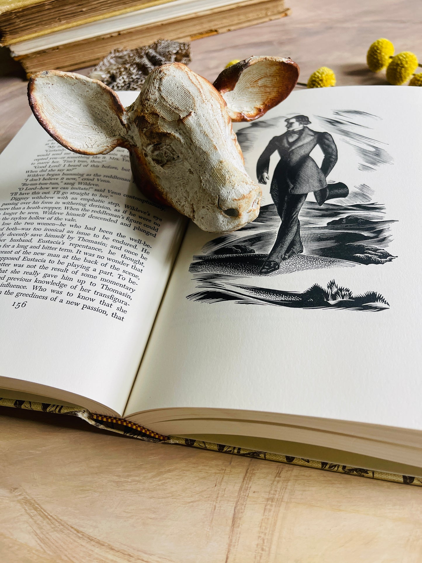 1970 The Return of the Native by Thomas Hardy