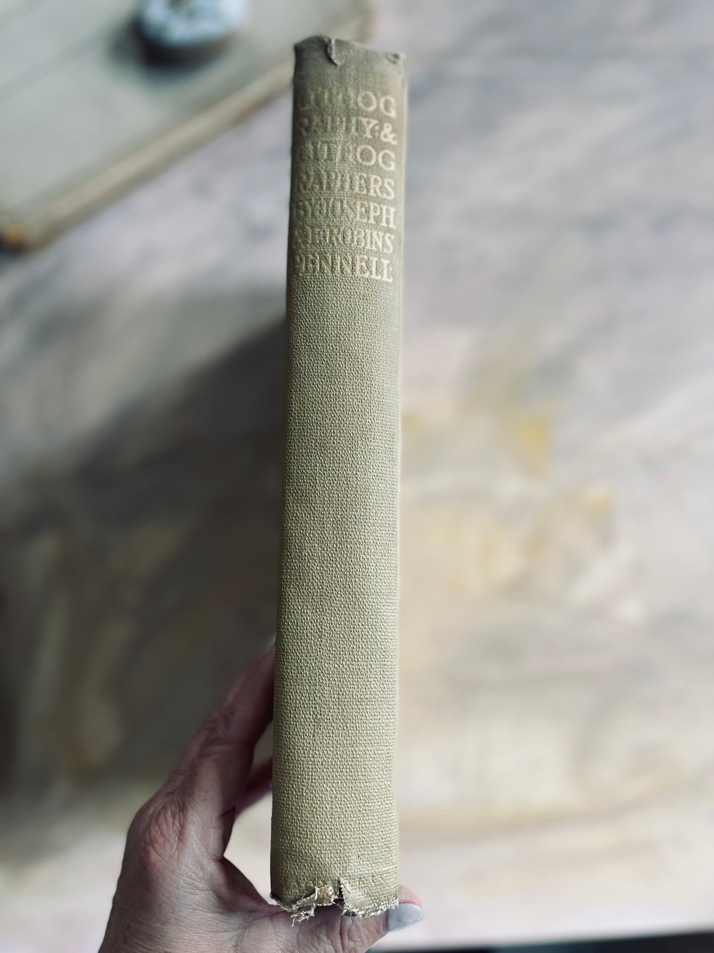 1915 Lithography and Lithographers by Joseph Pennell and E Robins Pennell
