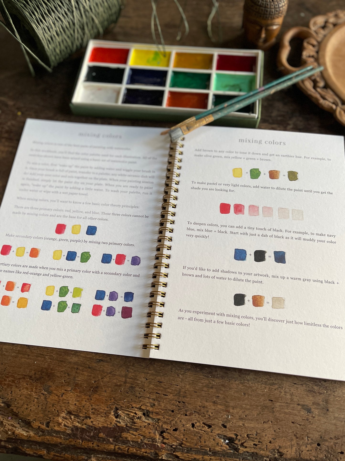 DIY Animals Watercolor Workbook by Emily Lex