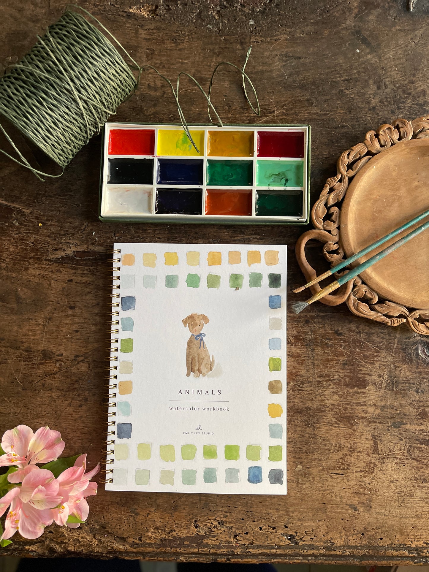 DIY Animals Watercolor Workbook by Emily Lex