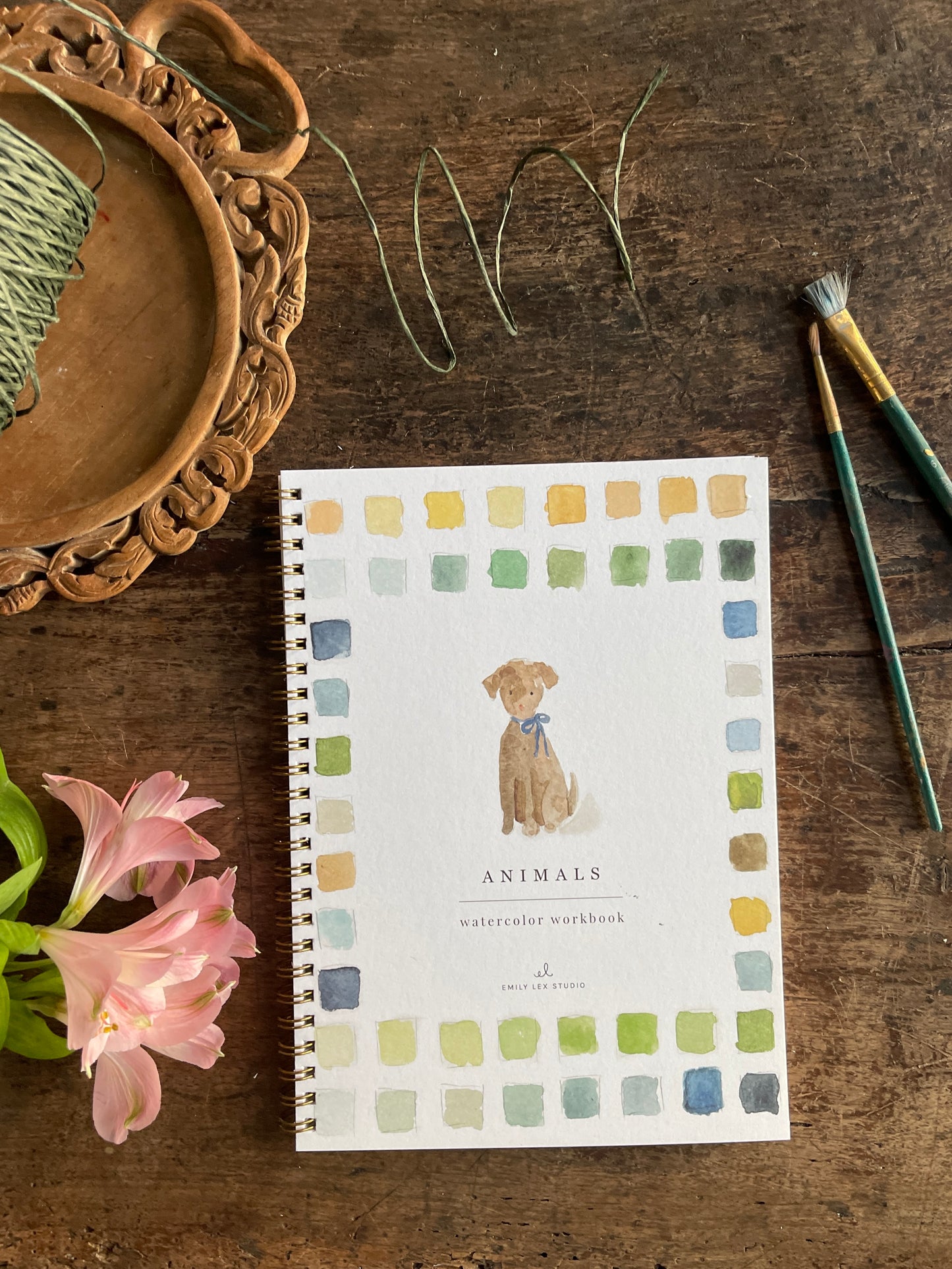 DIY Animals Watercolor Workbook by Emily Lex