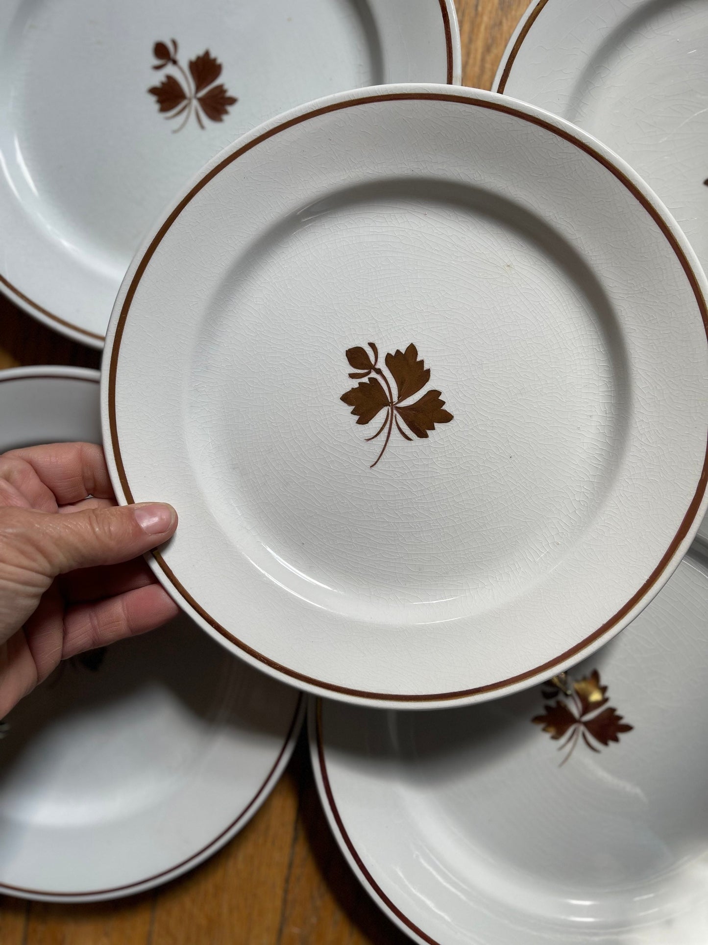 Set of Eleven (11) White English Ironstone 8” Plates by Alfred Meakin Farmhouse Cottage