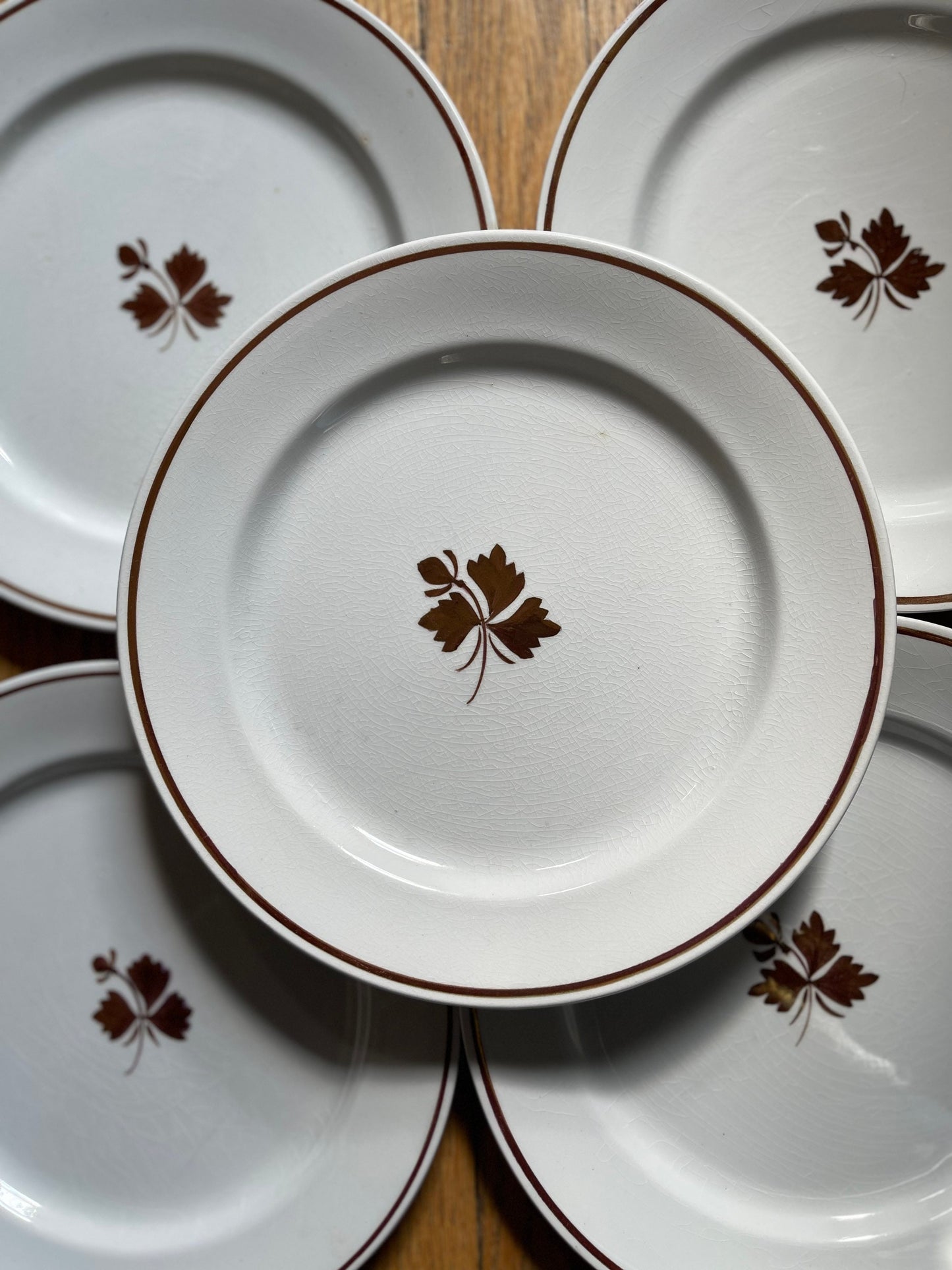 Set of Eleven (11) White English Ironstone 8” Plates by Alfred Meakin Farmhouse Cottage