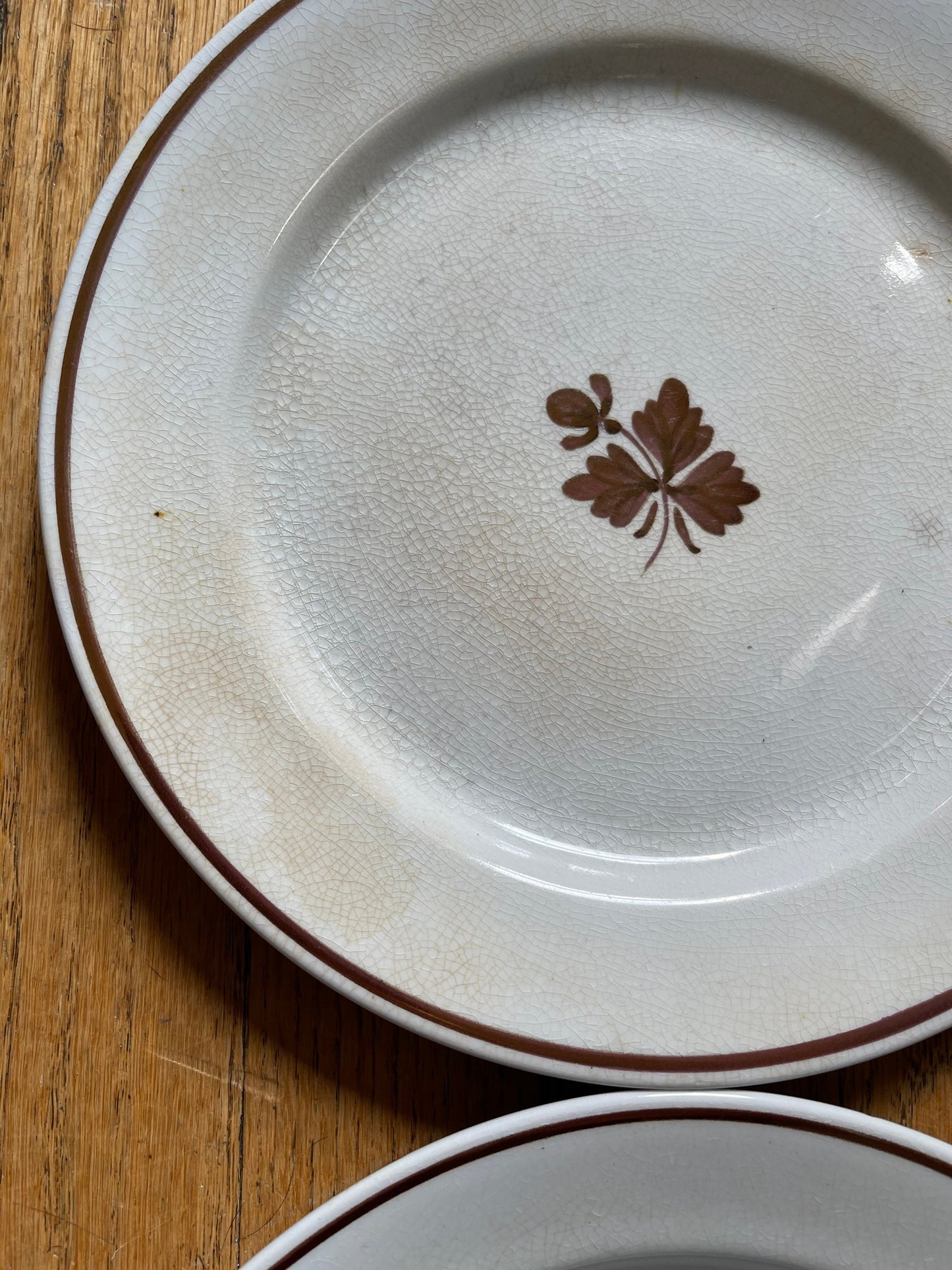 Set of Eleven (11) White English Ironstone 8” Plates by Alfred Meakin Farmhouse Cottage