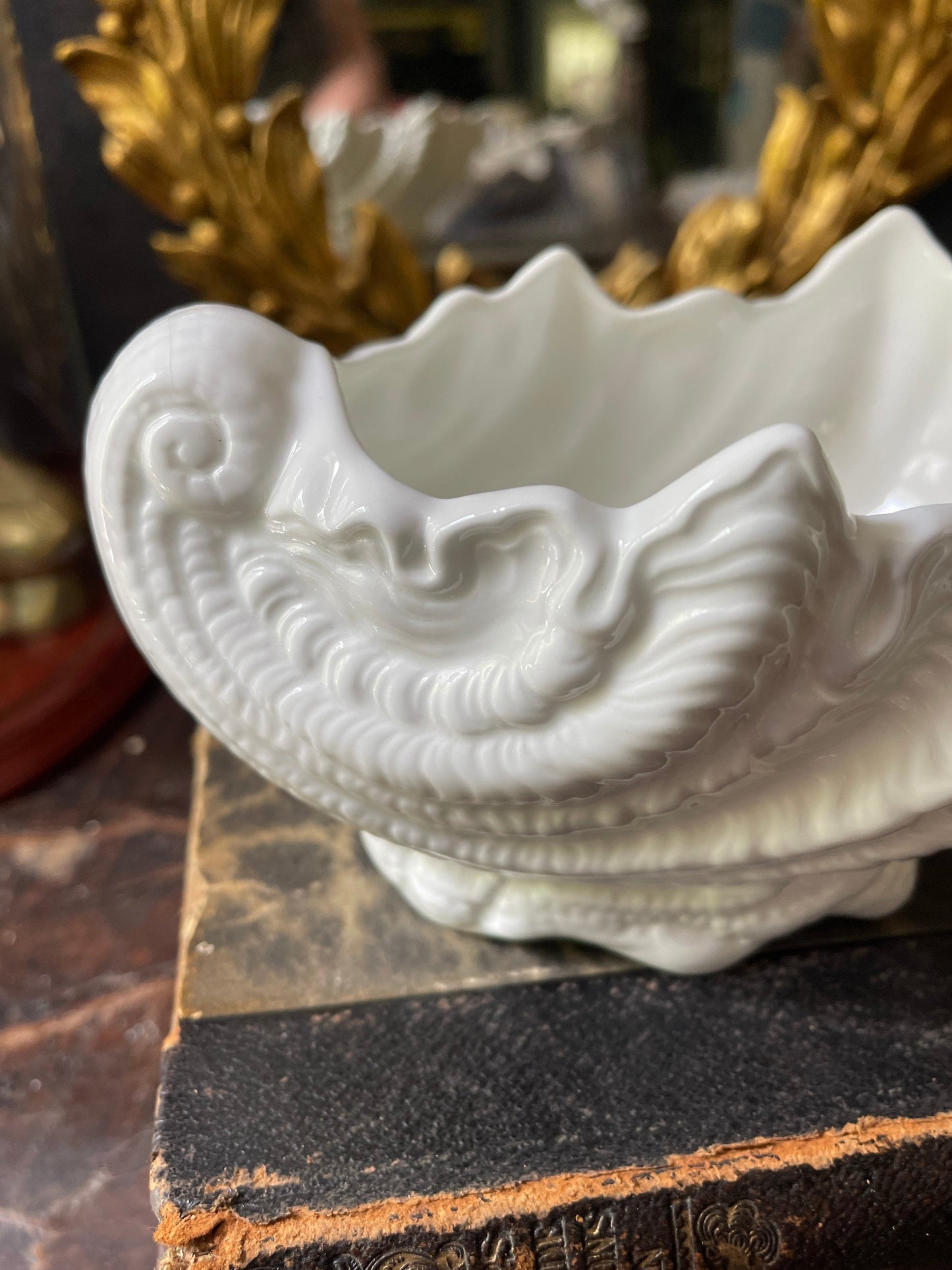 White Bone China Nautilus Planter by Coalport in Country Ware Pattern English Ironstone