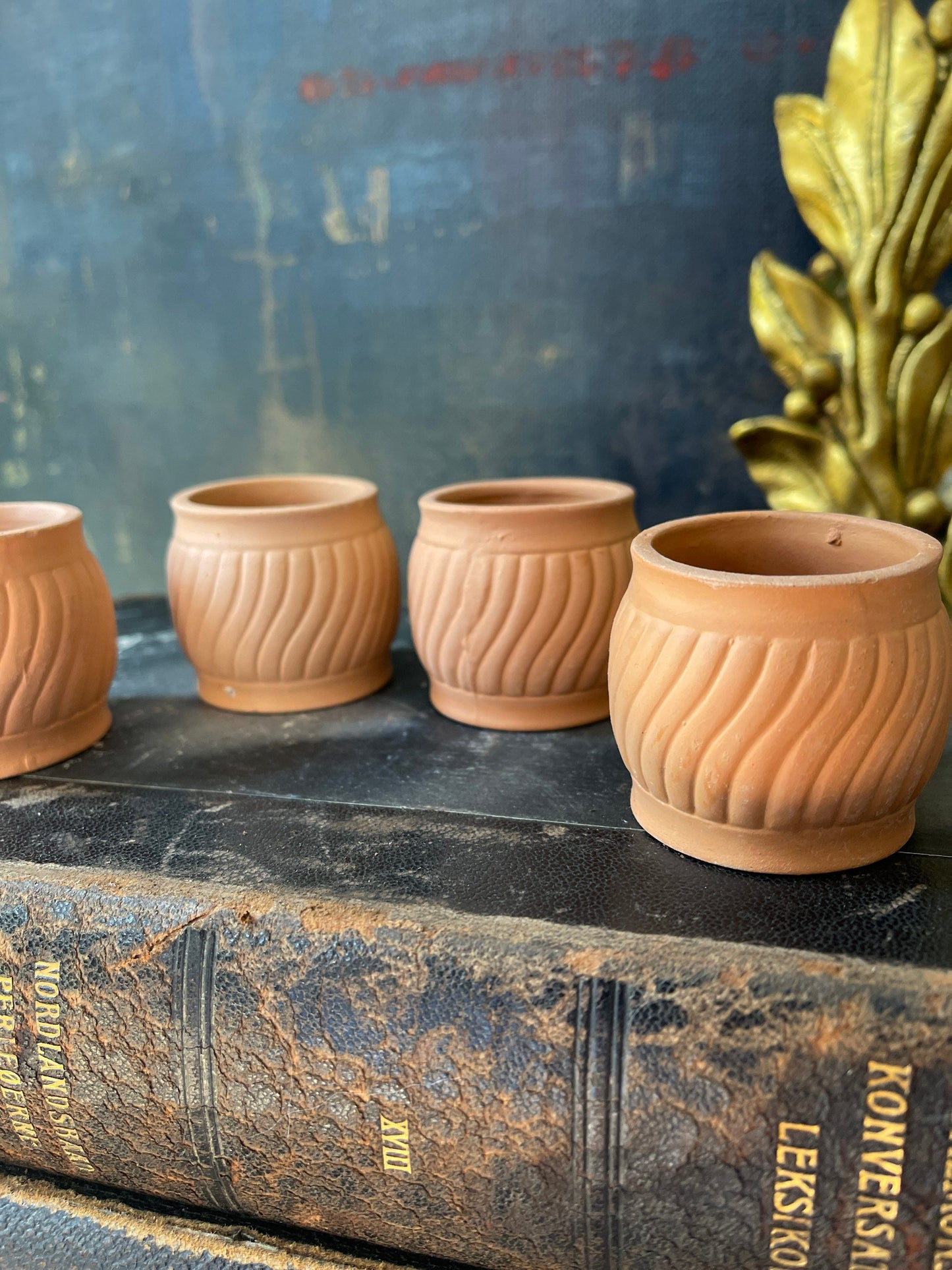 Set of Four (4) Terracotta Clay Napkin Rings Garden Party