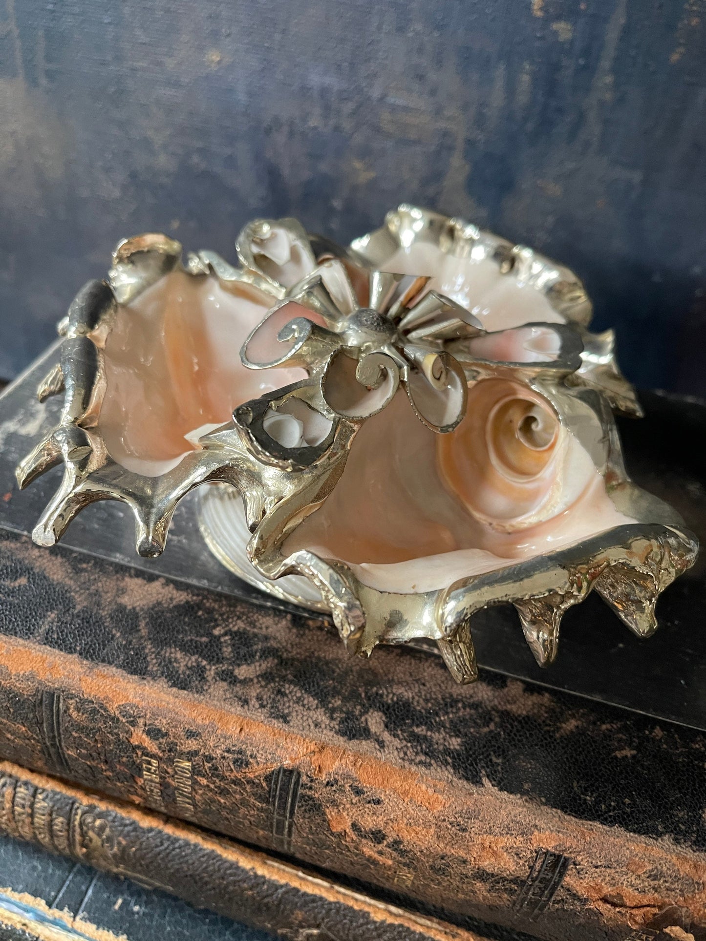 Seashell Art with Silver Edges