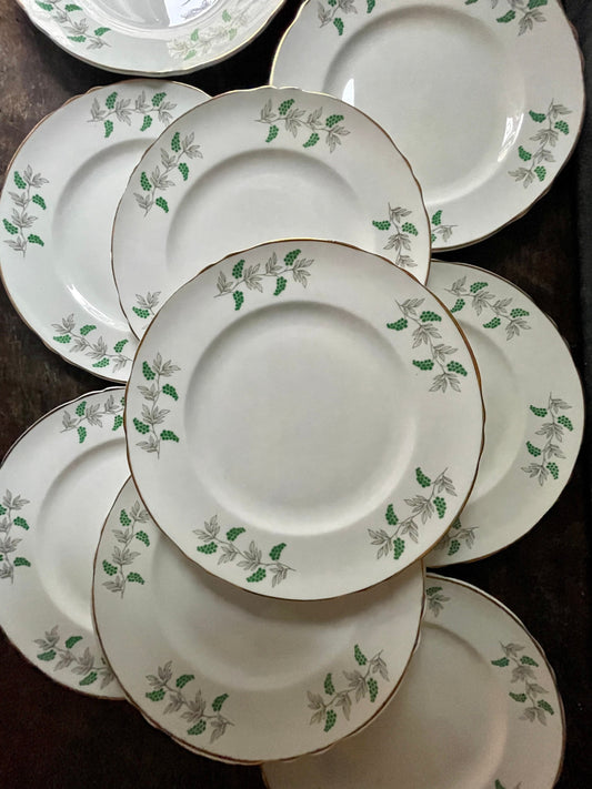 Set of Ten (10) Staffordshire England Green Berries 8 3/8” Plates Fine Bone China