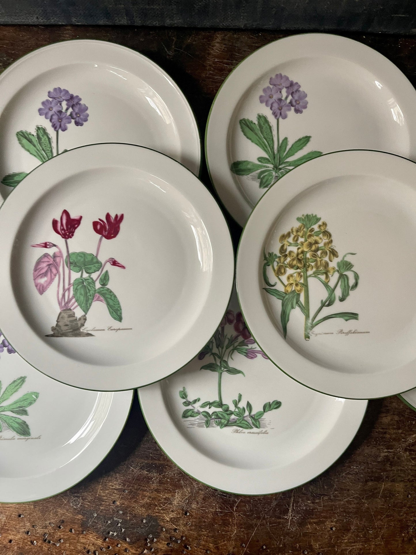 Set of Seven (7) West German Porcelain Botanical 7.5” Plates