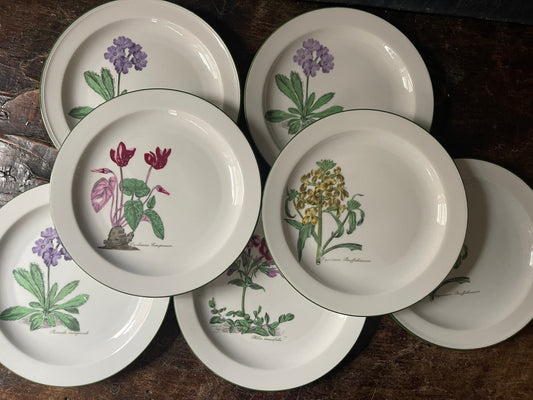 Set of Seven (7) West German Porcelain Botanical 7.5” Plates