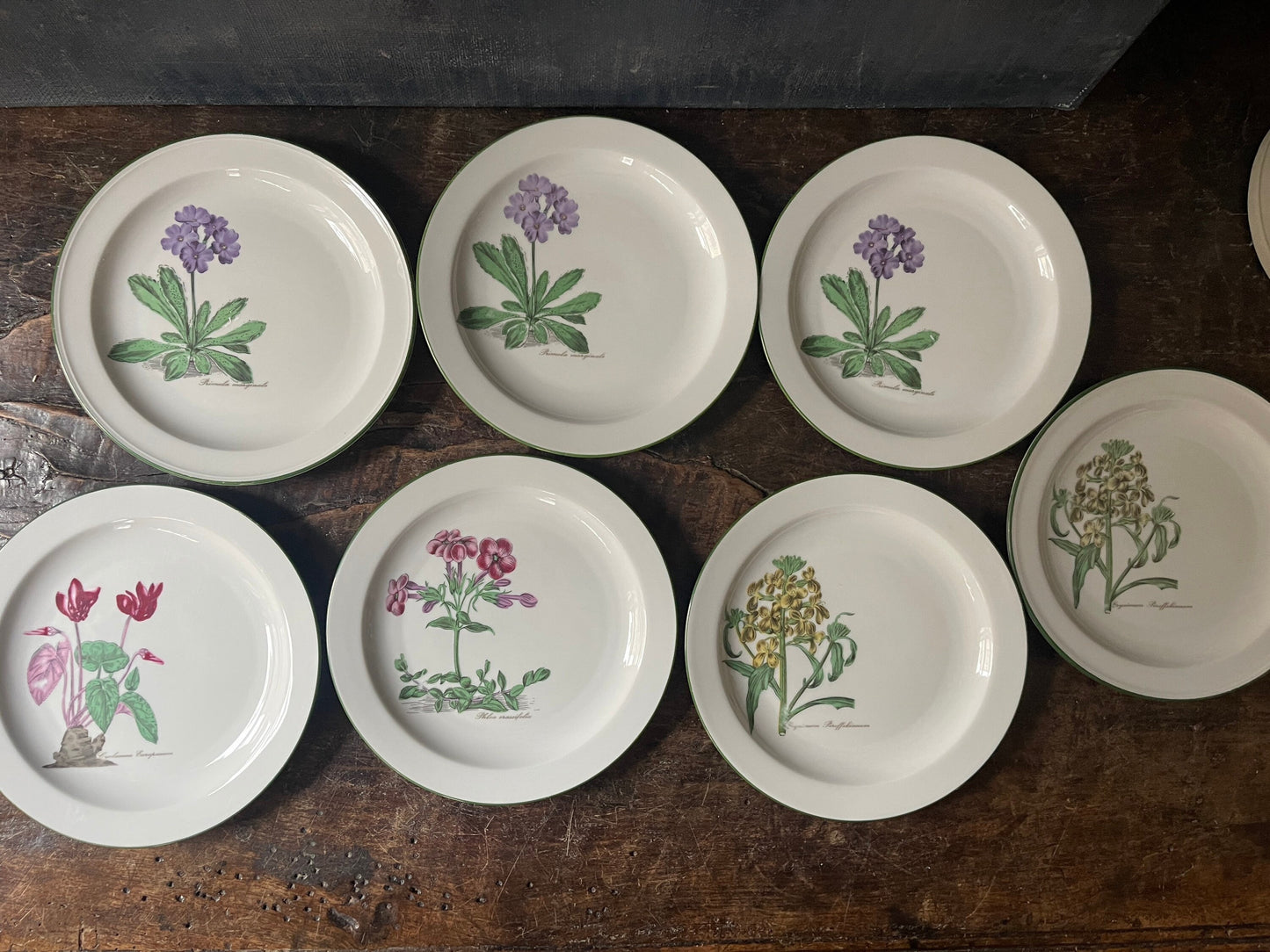 Set of Seven (7) West German Porcelain Botanical 7.5” Plates