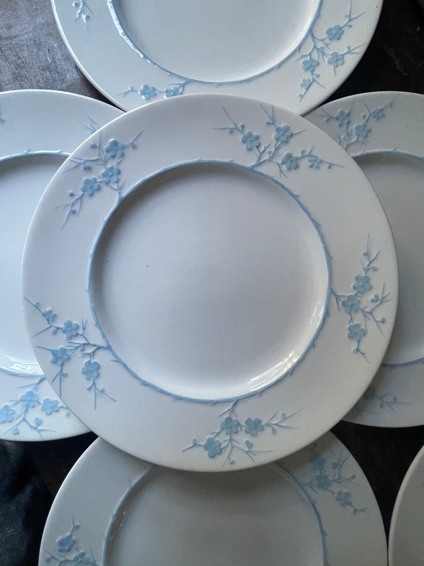 Set of Twelve (12) Spode Blanche de Chine Cherry Blossom English 7 7/8” Plates