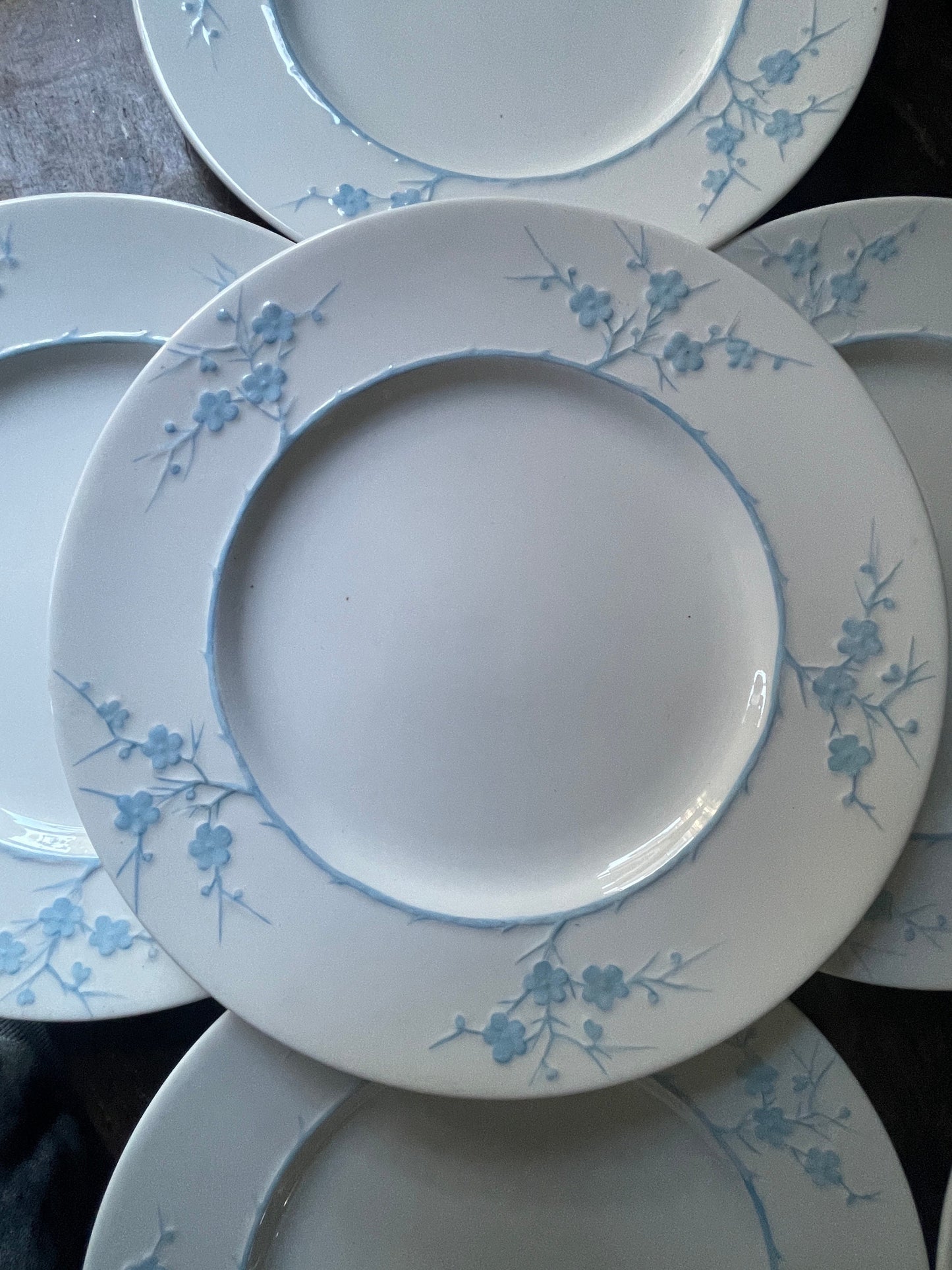 Set of Twelve (12) Spode Blanche de Chine Cherry Blossom English 7 7/8” Plates