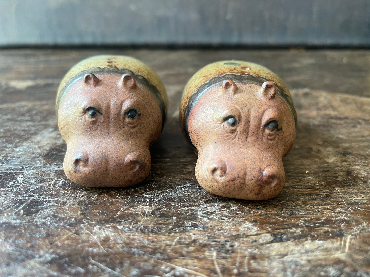 Set of Stoneware Pottery Hippos Salt and Pepper Shaker