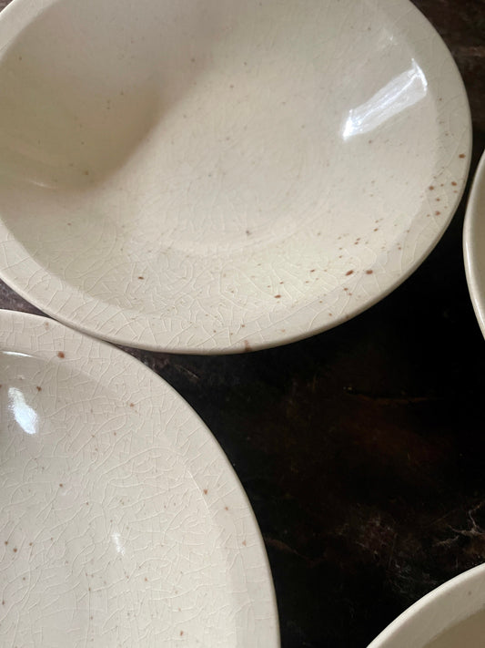 Set of Five (5) Mikasa Habitat Speckled Cereal Bowls