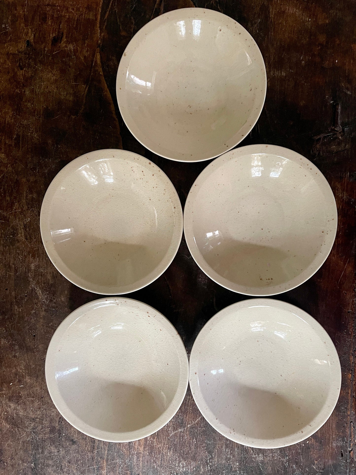 Set of Five (5) Mikasa Habitat Speckled Cereal Bowls