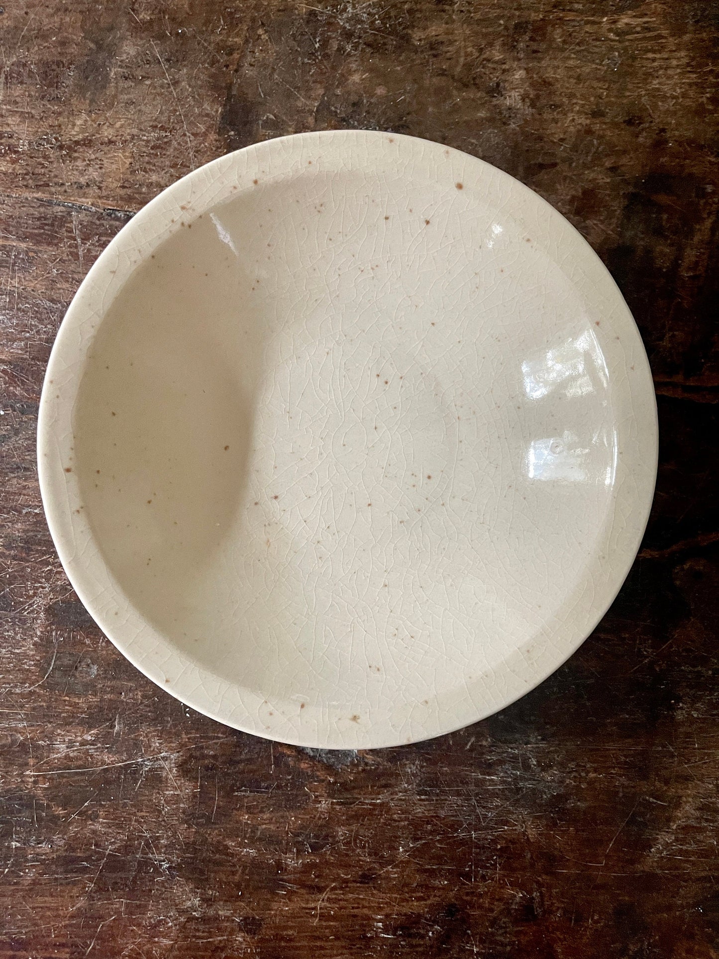 Set of Five (5) Mikasa Habitat Speckled Cereal Bowls