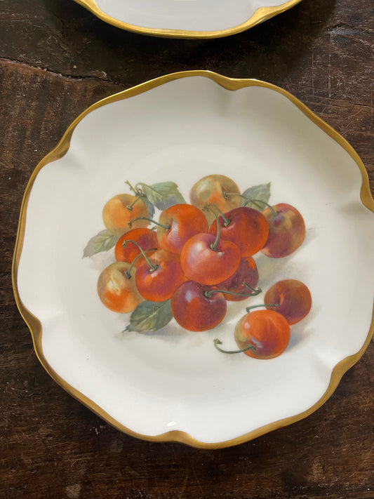 Set of Four (4) Mid Century Bayern Fruit Plates