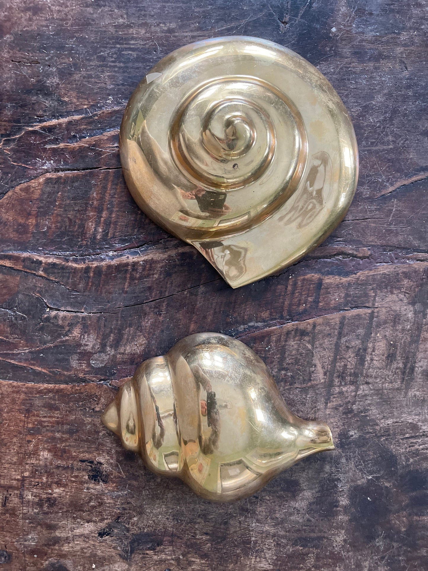 Collection of Two (2) Brass Seashell Wall Hangings