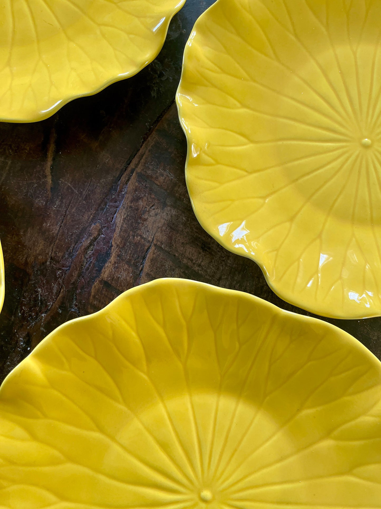 Set of Six (6) Yellow Lotus Dinner Plates by Poppytrail