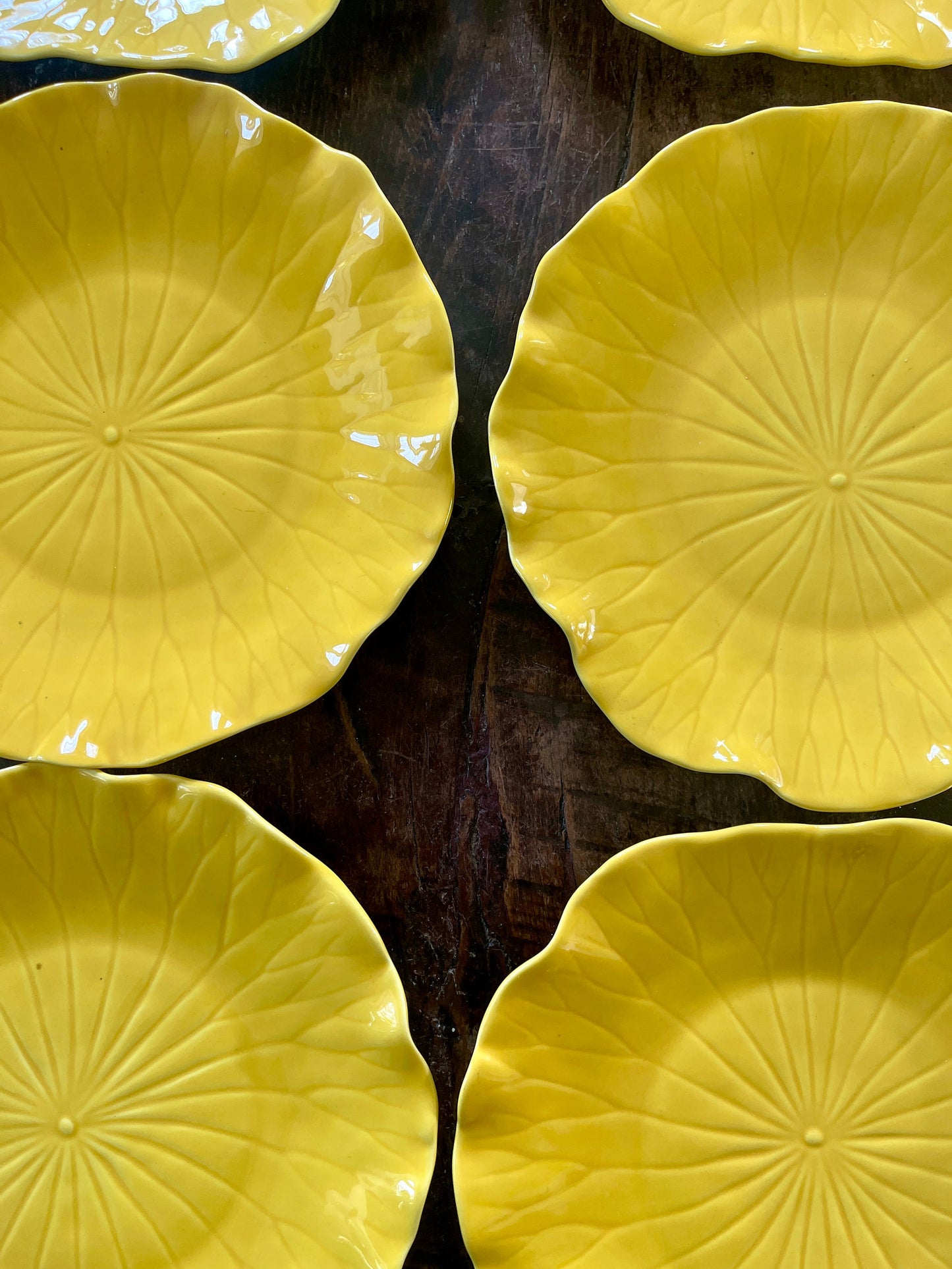 Set of Six (6) Yellow Lotus Dinner Plates by Poppytrail