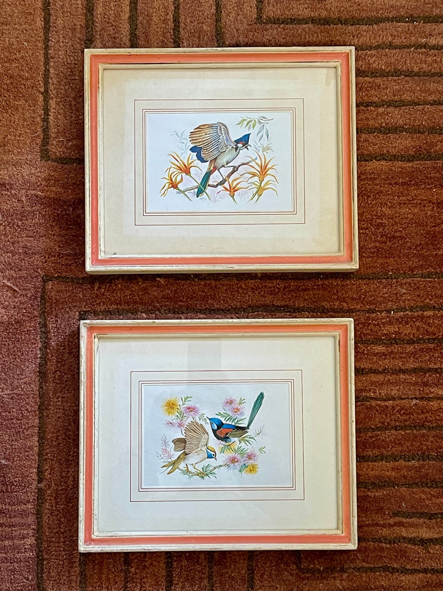 Pair of Framed Vintage Bird Prints Made in Italy