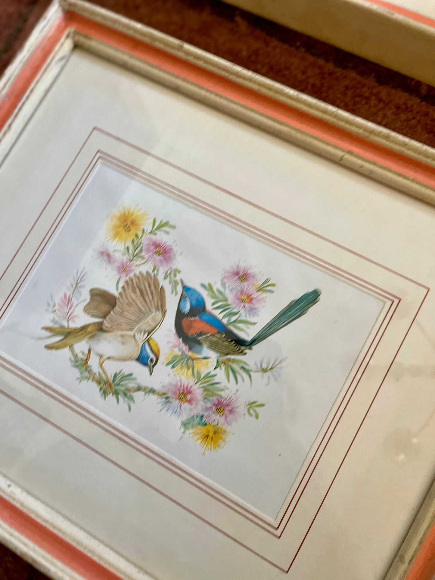 Pair of Framed Vintage Bird Prints Made in Italy