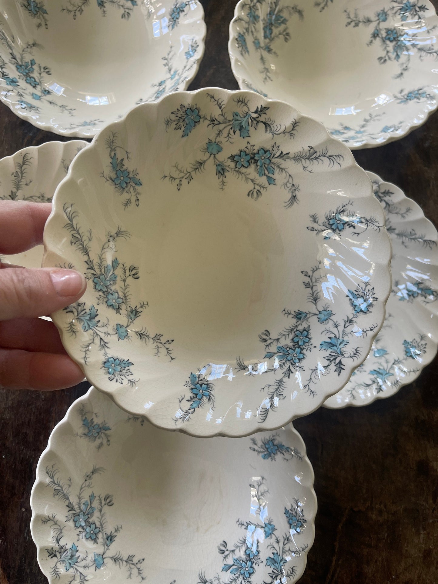 Set of Eight (8) Blue and Black Staffordshire Forget Me Not 6 3/8” Bowls