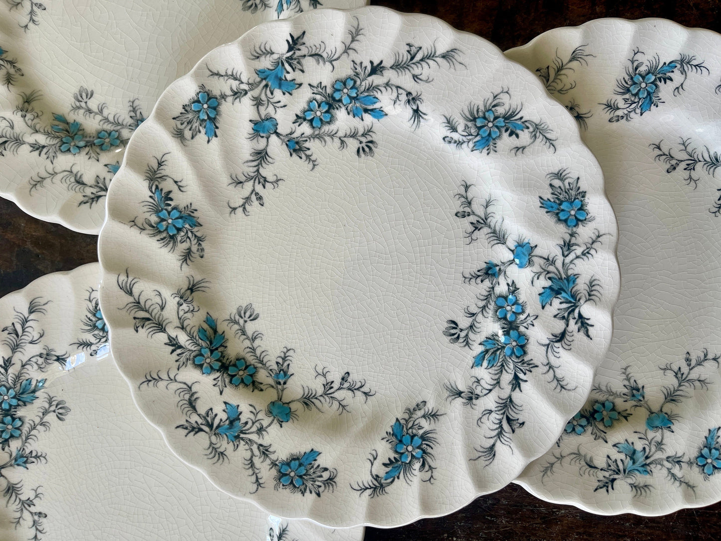 Set of Four (4) Blue and Black Staffordshire Forget Me Not 6” Plates