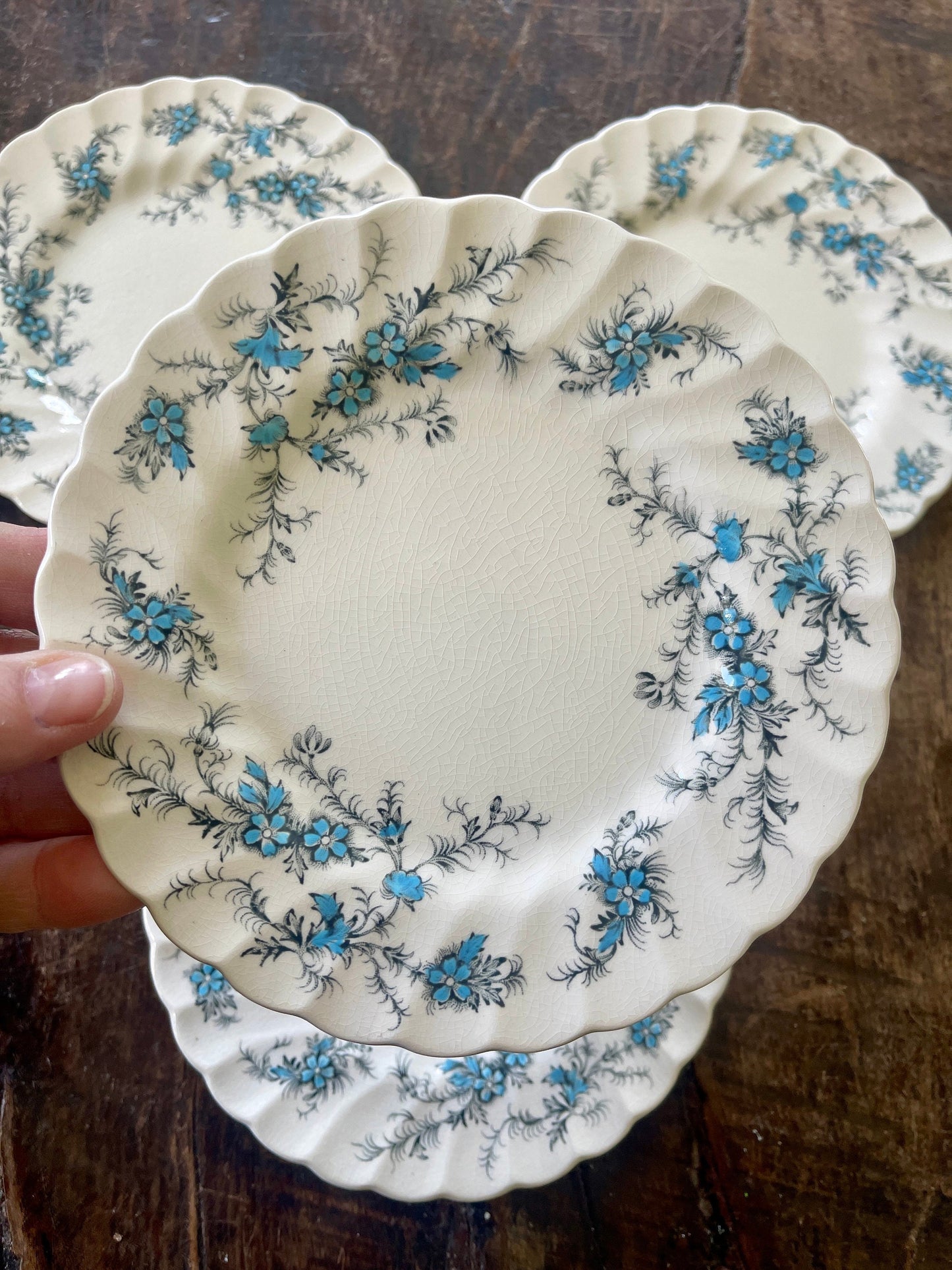 Set of Four (4) Blue and Black Staffordshire Forget Me Not 6” Plates