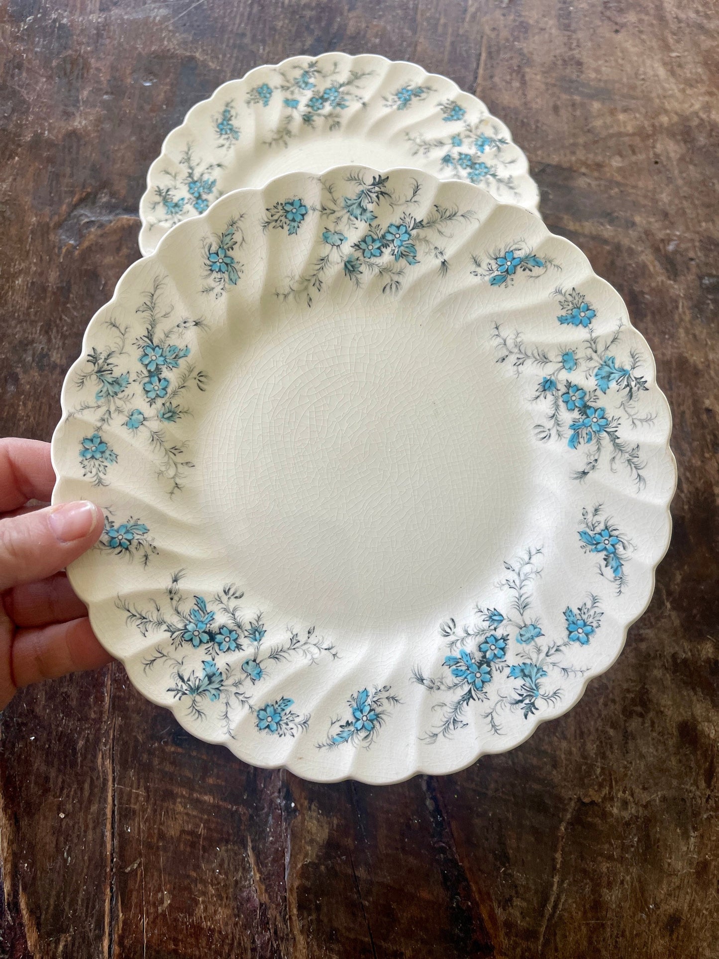 Set of Two (2 Blue and Black Staffordshire Forget Me Not 7 7/8” Plates