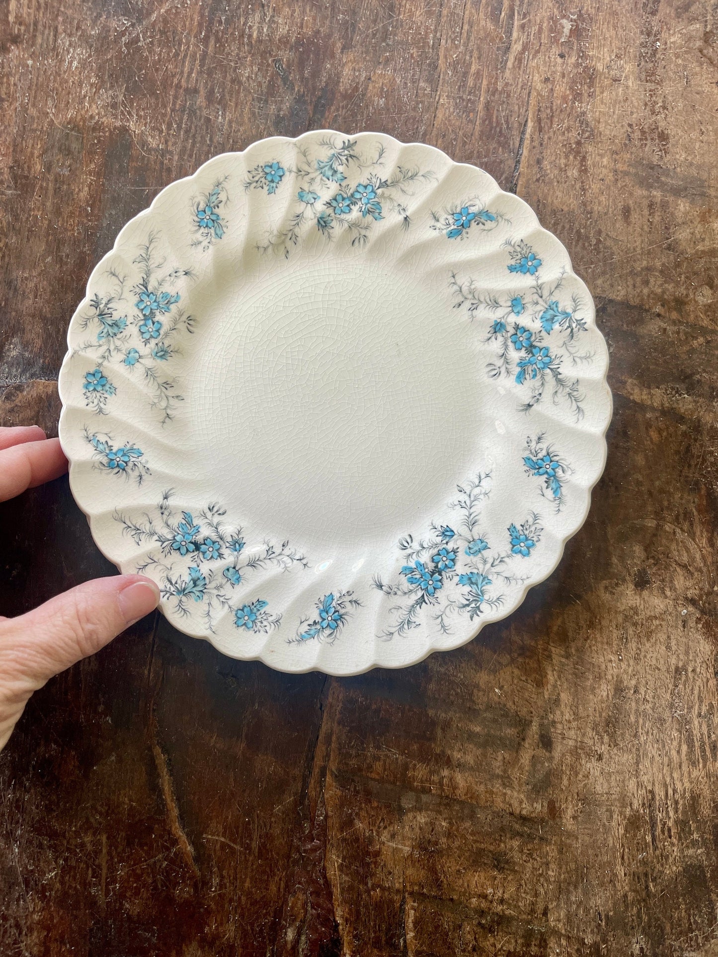 Set of Two (2 Blue and Black Staffordshire Forget Me Not 7 7/8” Plates