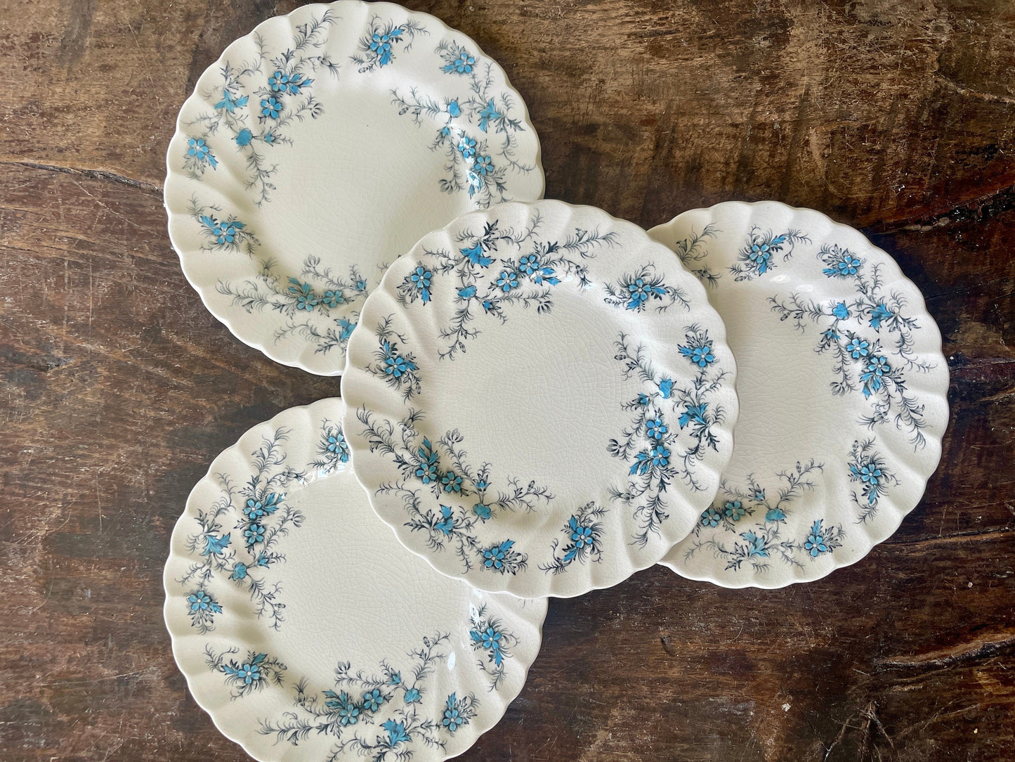 Set of Four (4) Blue and Black Staffordshire Forget Me Not 6” Plates