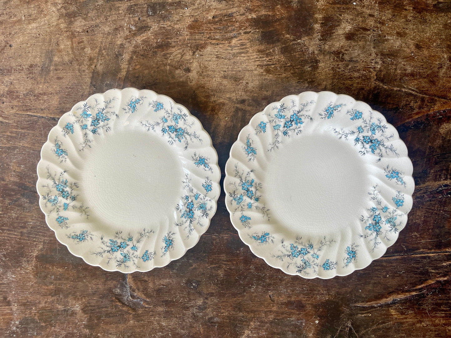 Set of Two (2 Blue and Black Staffordshire Forget Me Not 7 7/8” Plates