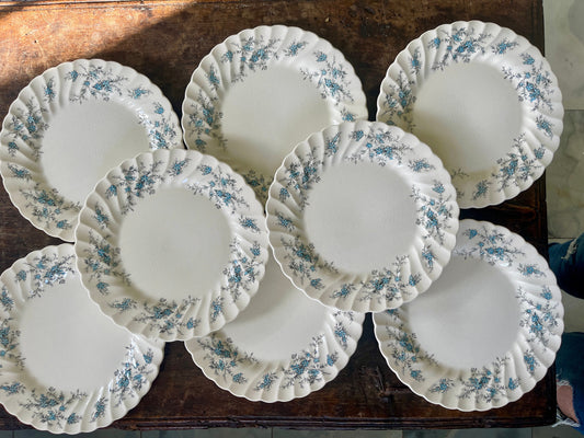 Set of Eight (8) Blue and Black Staffordshire Forget Me Not 10” Plates