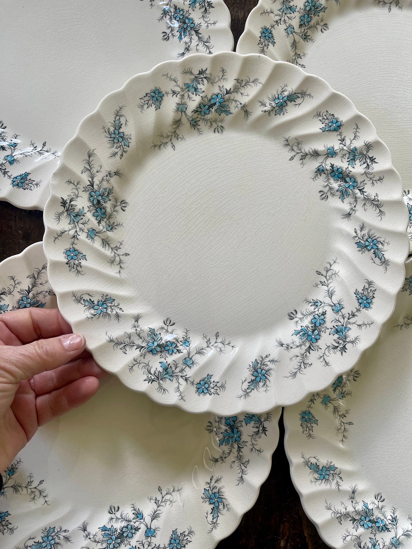 Set of Eight (8) Blue and Black Staffordshire Forget Me Not 10” Plates