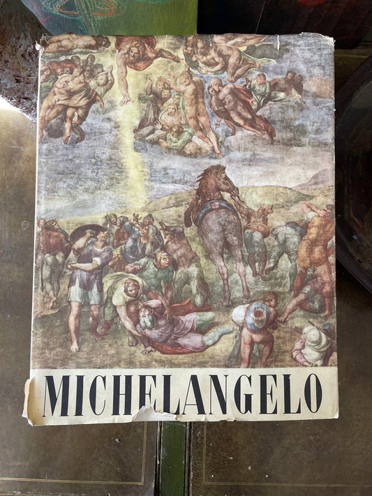 Vintage Michelangelo Book Printed in Italy