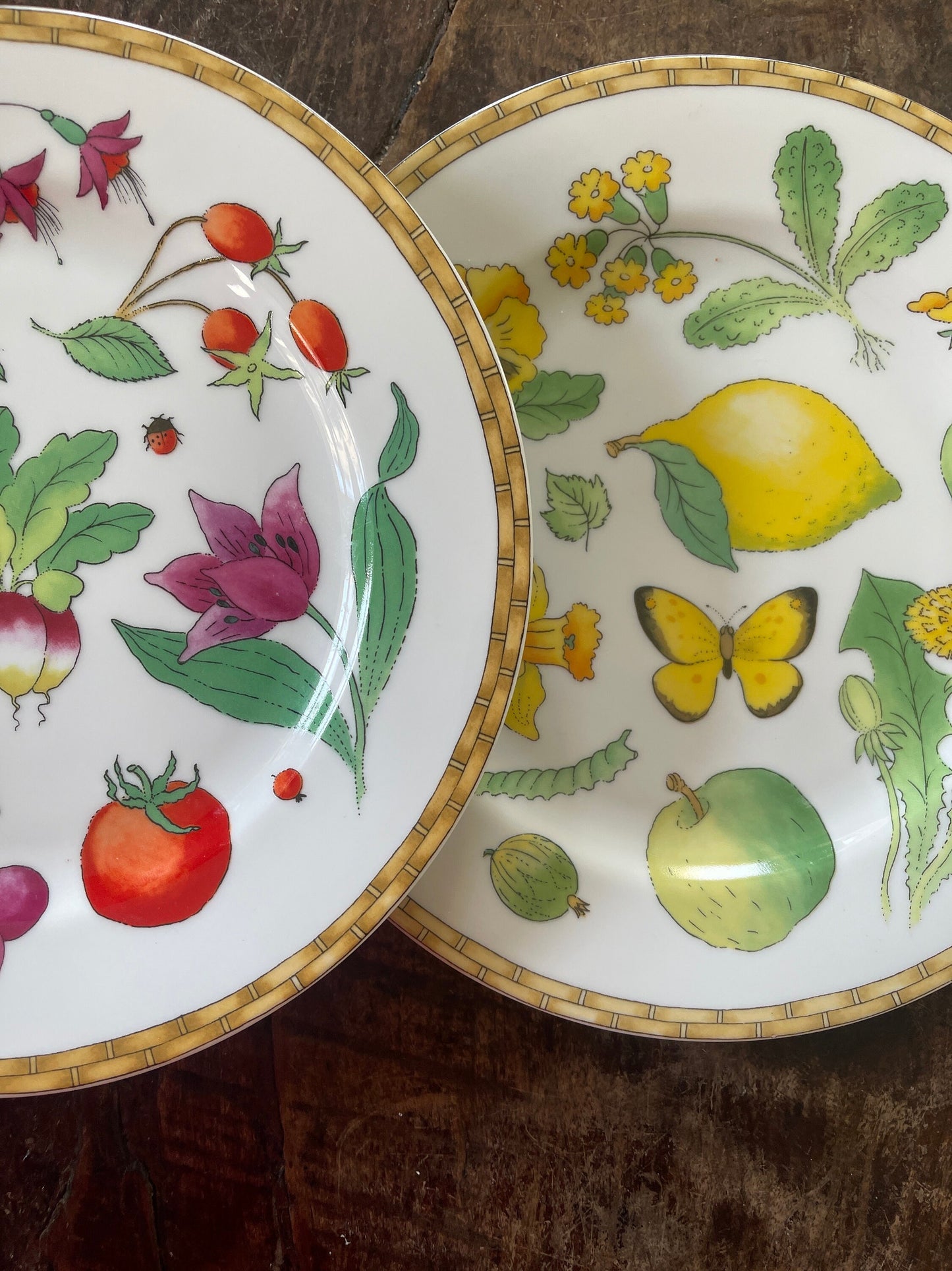 Set of Two (2) Vintage Crate & Barrel Nature Harvest 9 1/8” Plates