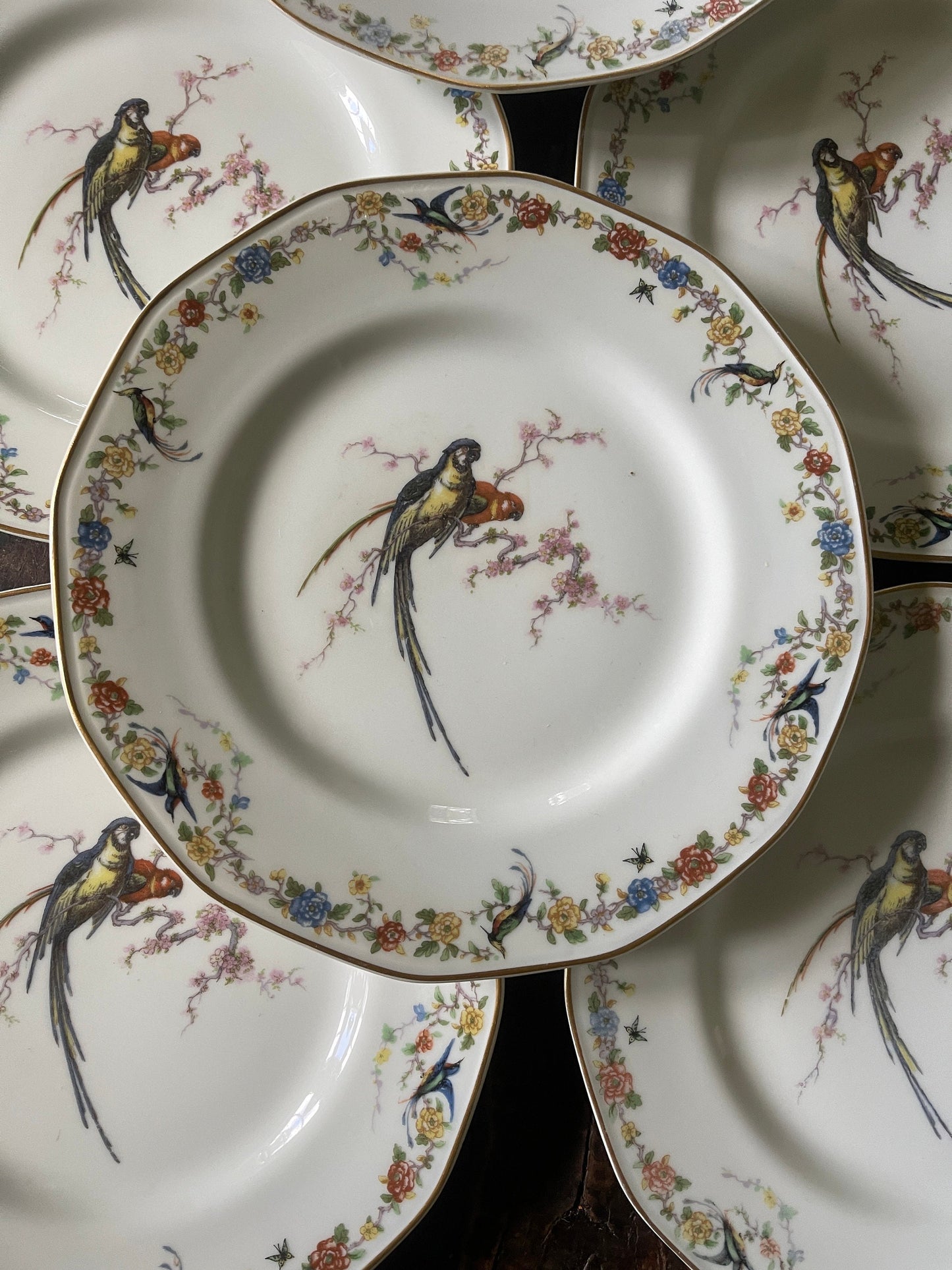 Set of Eight (8) Vintage French Theodore Haviland Limoges Arcadia Parrots 9.5” Plates