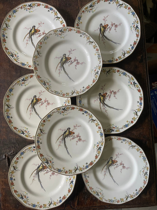 Set of Eight (8) Vintage French Theodore Haviland Limoges Arcadia Parrots 9.5” Plates