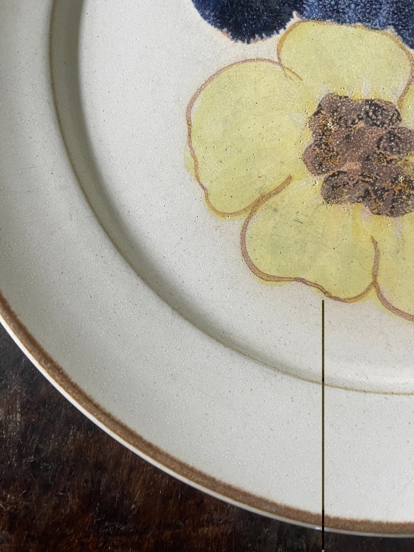 Set of Six (6) Vintage Denby Stoneware 9.75” Potpourri Blue Floral Hue Plates